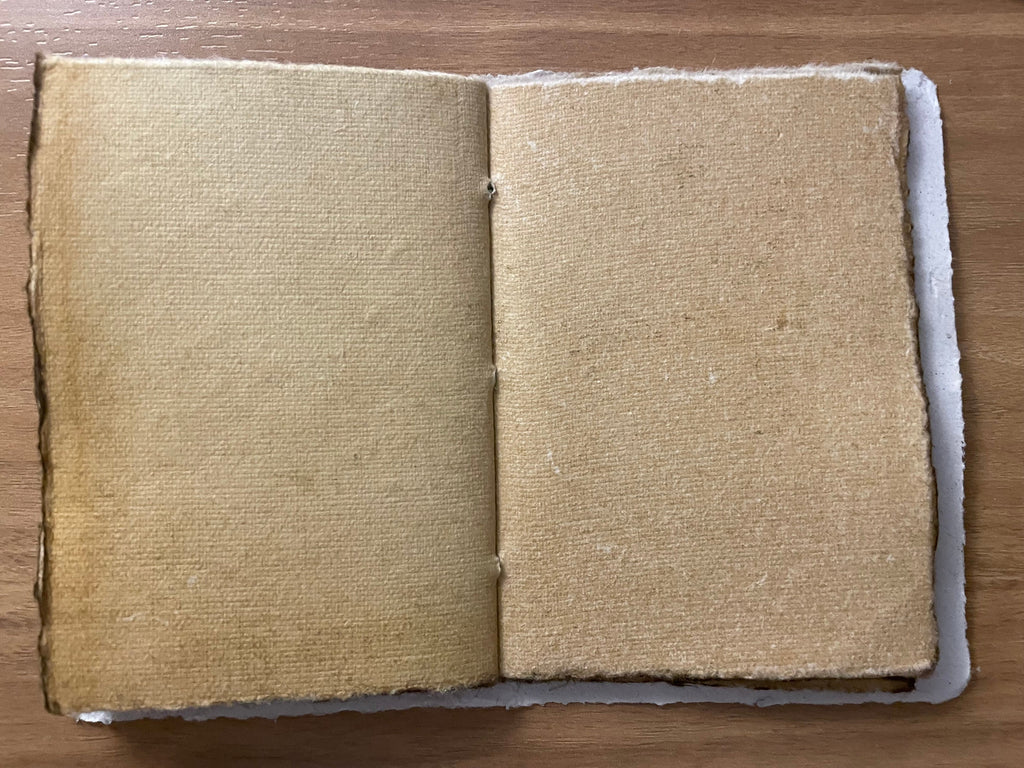 3 Pack Seed Journal Notebooks