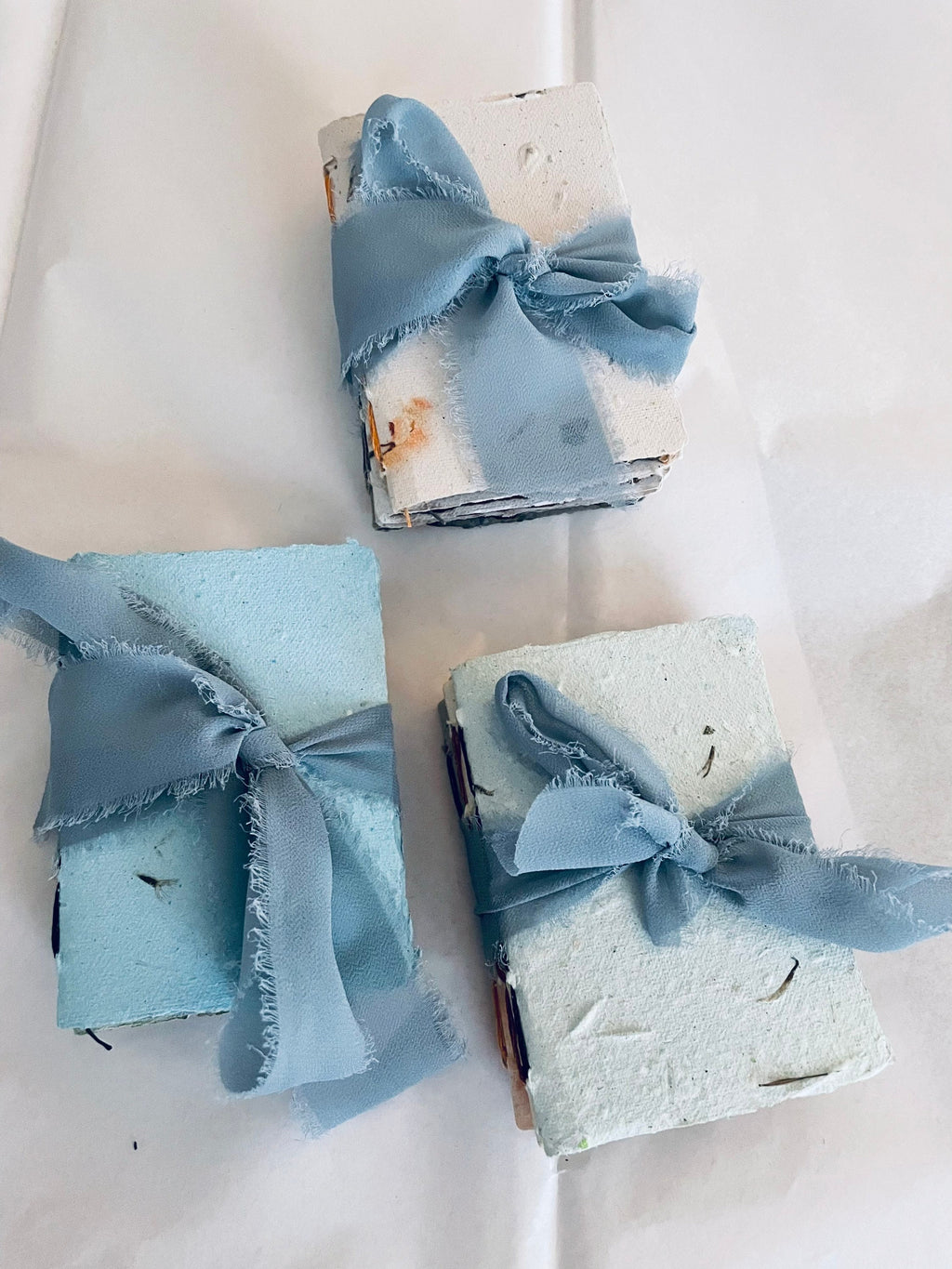 3 Pack Seed Journal Notebooks