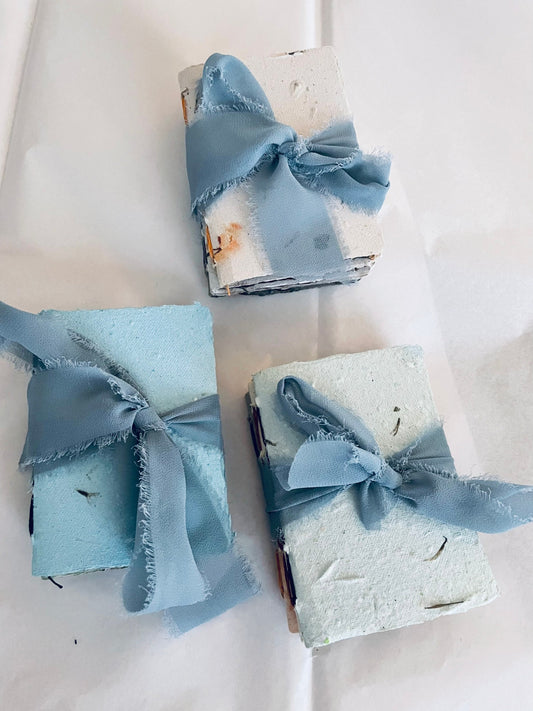 3 Pack Seed Journal Notebooks