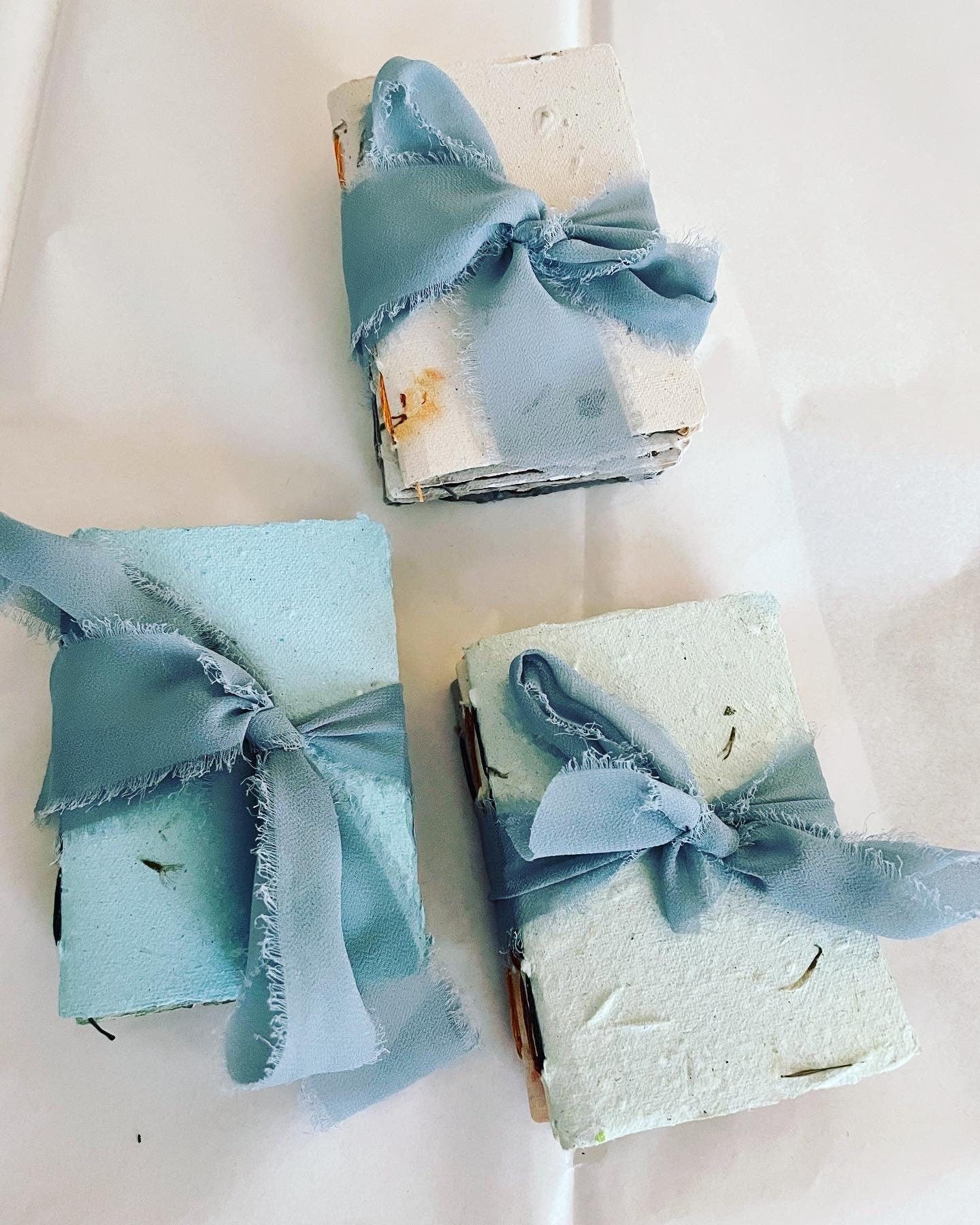 3 Pack Seed Journal Notebooks