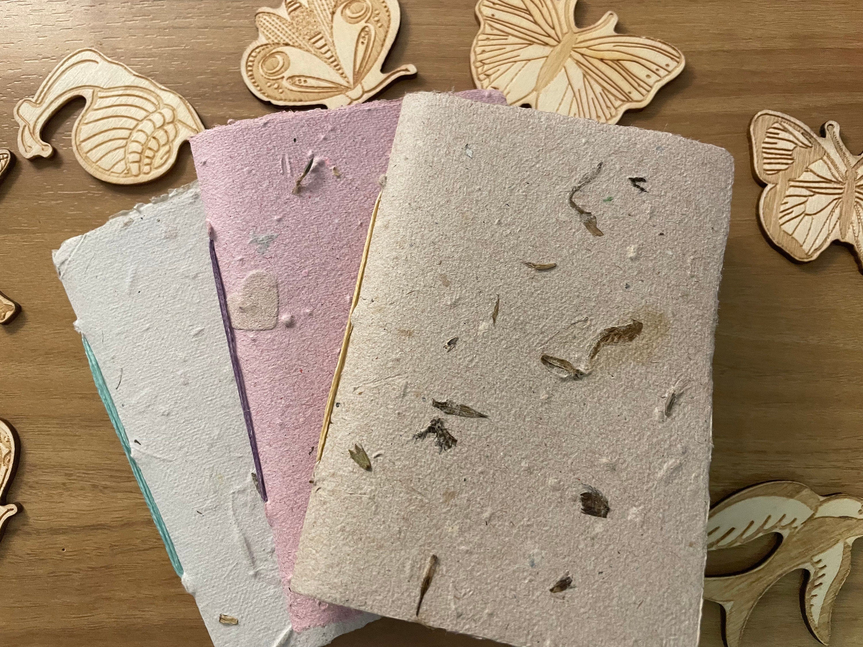 3 Pack Seed Journal Notebooks